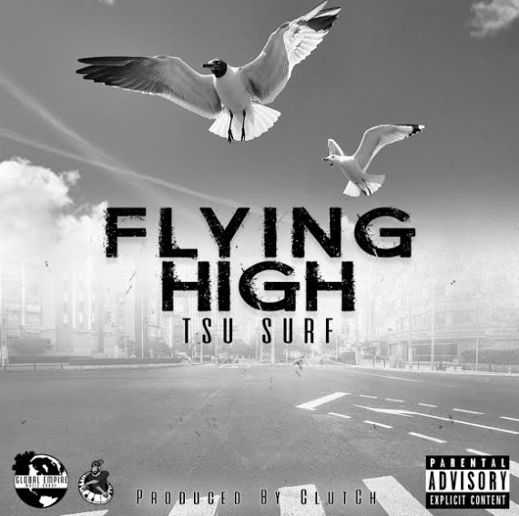 tsu surf birds
